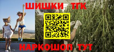 крисы Тулун